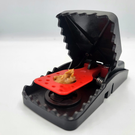 Piège "Mâchoire Komodo" pour souris, sur-puissant