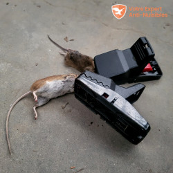Piège à souris avec seau pour rats, souris, rats - Pour intérieur