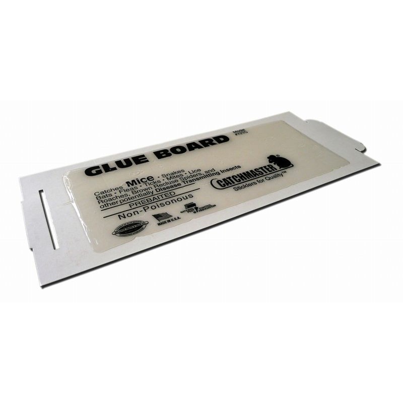 Plaque de glu pour souris avec attractif Plaque de glu pour souris avec attractif