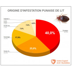 40% des infestations de punaise de lit proviennent d'un voyage