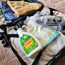 Kit anti punaise de lit de voyage prêt