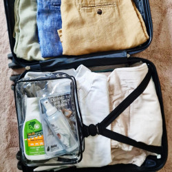 Kit punaise de lit de voyage prêt dans la valise