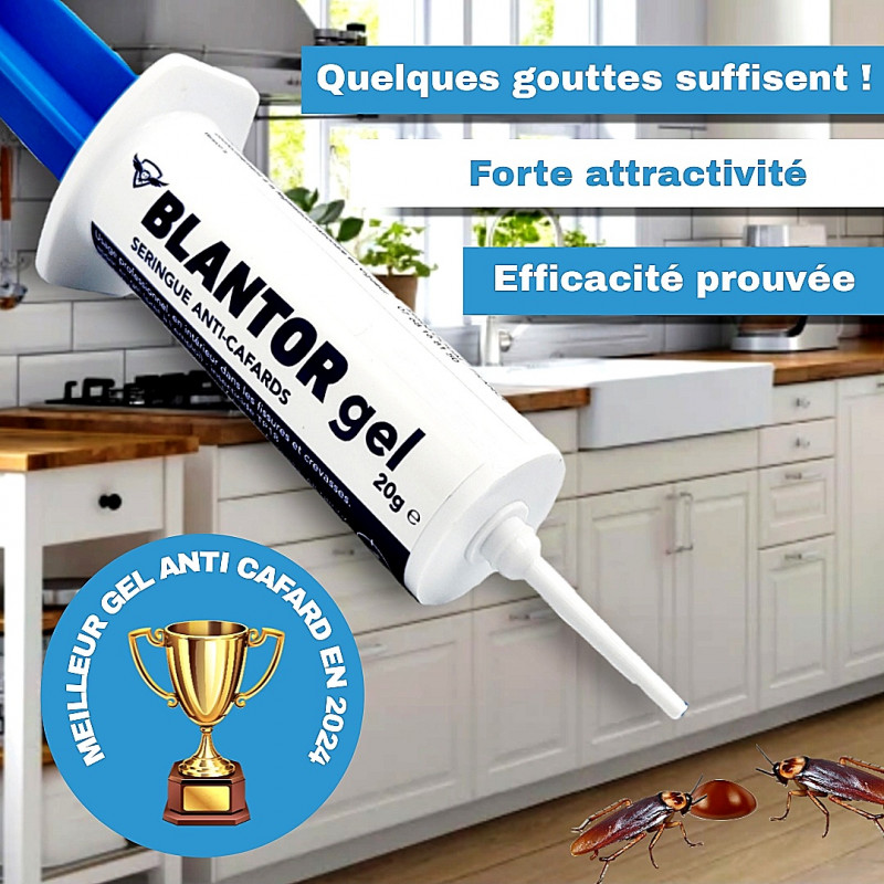 Gel anti cafard BLANTOR 20 g puissant & efficace Avis, prix — free download
