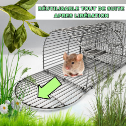 Nasse à souris réutilisable immédiatement après la libération de l'animal