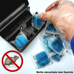 Mise en place des pâtes raticides AKANOID dans une boite sécurisée pour souris