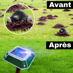 Action avant après du répulsif sonore anti taupe