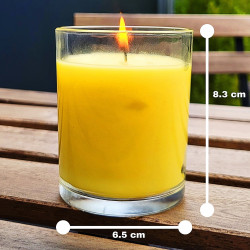 Dimensions de la bougie répulsive à base de pyrèthre végétal anti moustique longue durée