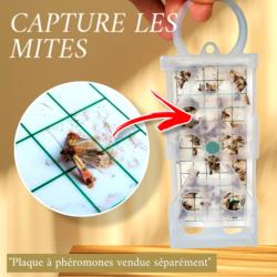 Piège à phéromones pour mites alimentaires PYRO NET