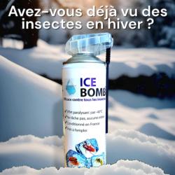 ICEBOMB : Avez-vous déjà vu des insectes en hiver ?