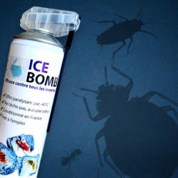 ICEBOMB : Tue tous les insectes par le froid