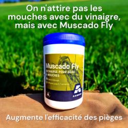 Attractif pour piège à mouches Muscado Fly