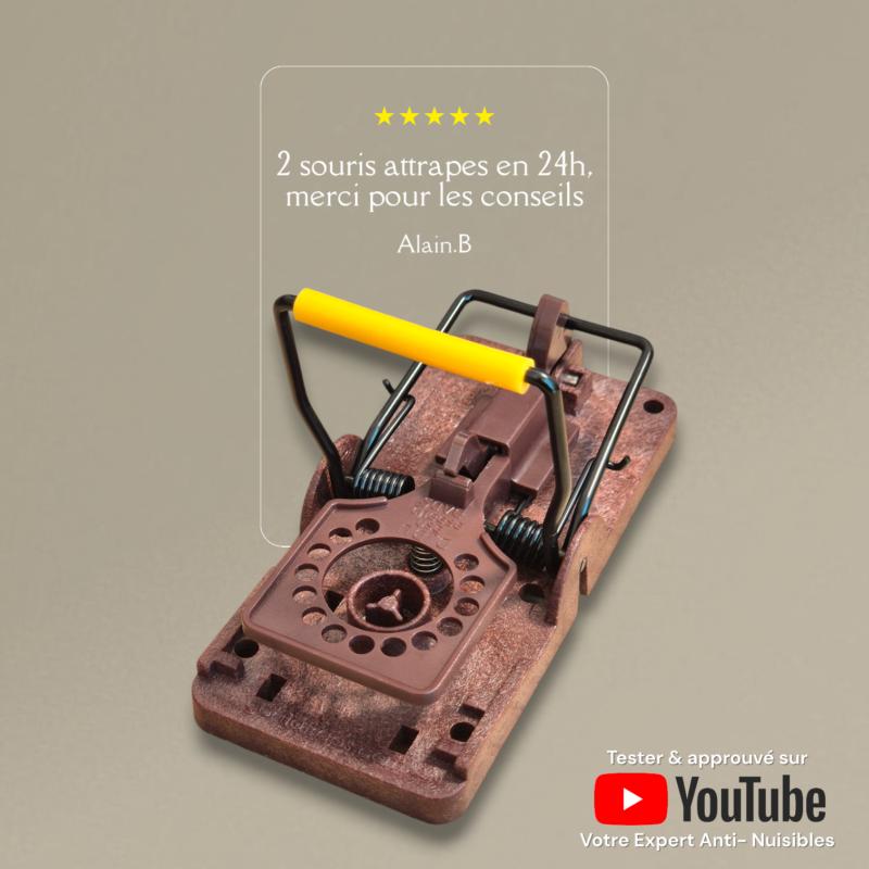 Lot De 3 Tapettes à Souris En Bois - Piège à Souris/Rats Réutilisable - Pour Maison, Jardin, Cave