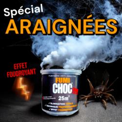 FUMICHOC anti araignées