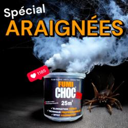 FUMICHOC spécial araignées