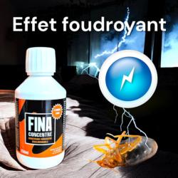 FINA CONCENTRE : EFFET FOUDROYANT