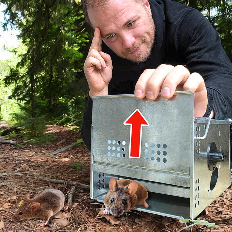 Piege Souris Sans Tuer