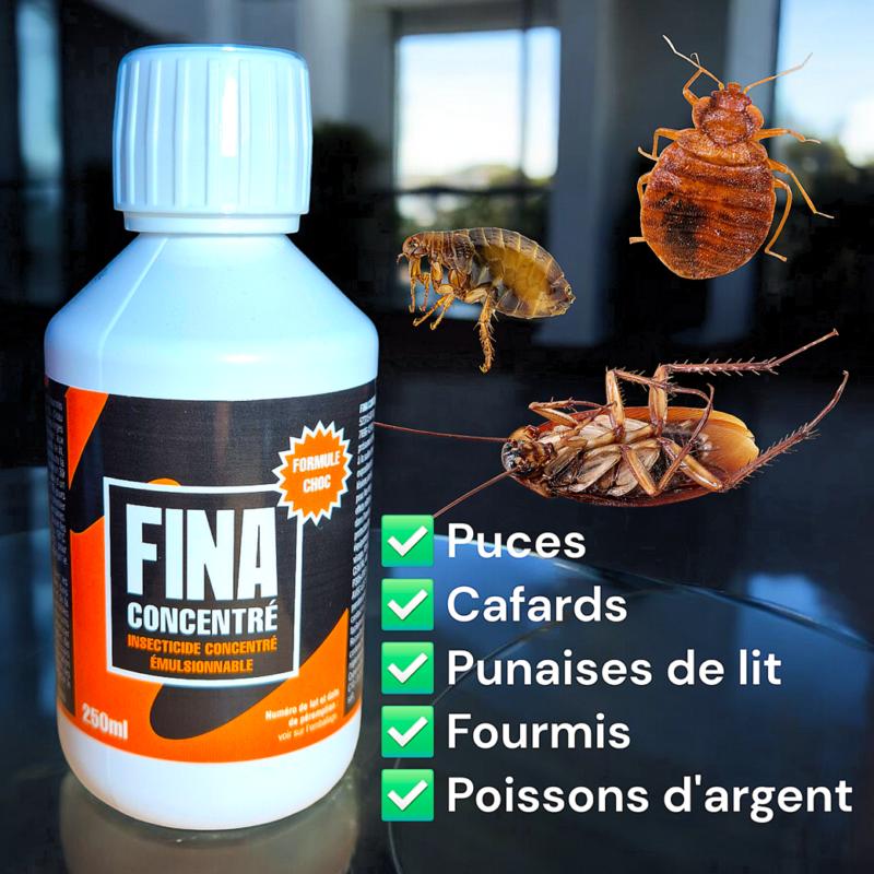 FINA CONCENTRE : Elimine tous les insectes