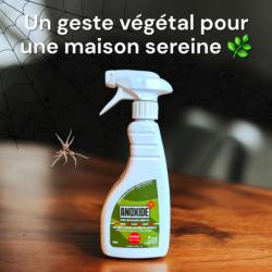 Spray ANOXIDE : Pour une maison sans araignées