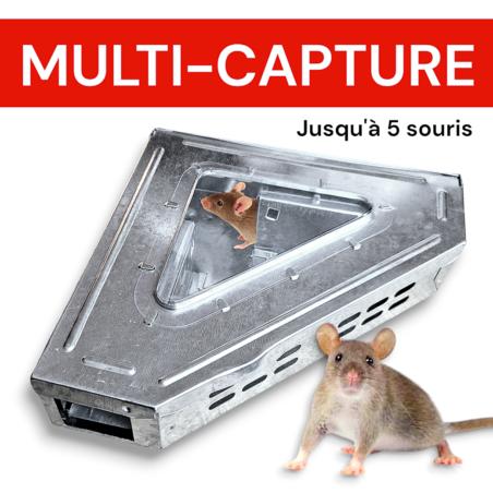 Piège à souris multi capture sans tuer à angle 90 degrés et double entrée