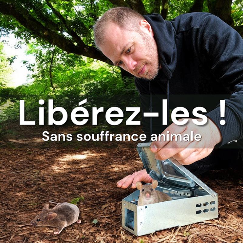 Piege Souris Sans Tuer