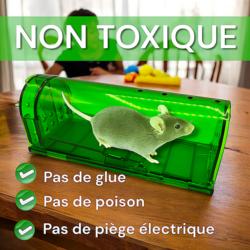 Piège à souris SANS ISSUE : non toxique