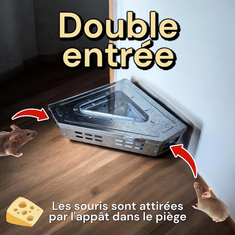 Piège à souris multi capture Angle 90 degrés, 2 entrées — free download