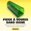 Piège à souris & mulots tunnel "SANS ISSUE", attrape vivant réutilisable, respectueux des animaux