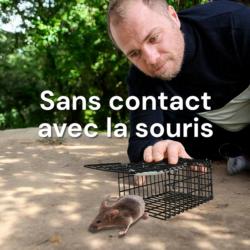 Cage attrape souris : restez sans contact avec la souris