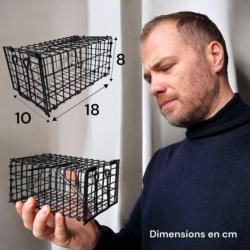 Dimensions de la cage attrape souris