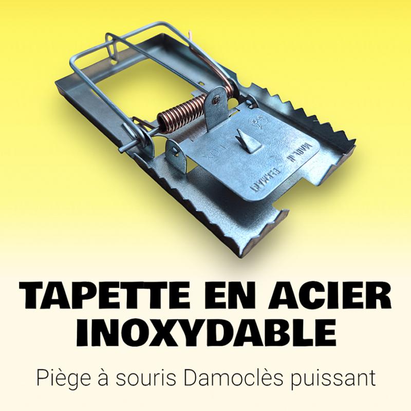 Tapette à souris en acier Damoclès