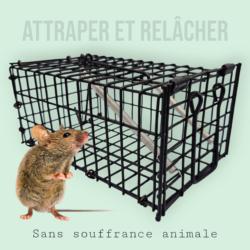 Attrapez et relâchez les souris vivantes avec la cage attrape souris