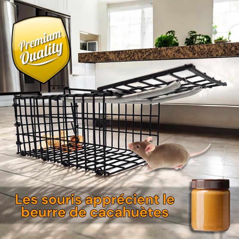 Cage attrape souris vivant