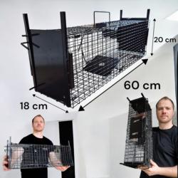 Dimensions de la cage de capture pour animaux nuisibles