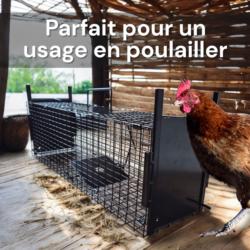 Cage de capture double entrée pour rongeurs : Parfait pour usage en poulailler