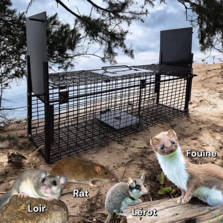 Cage piège double entrée en acier inoxydable pour rats, loirs, lérots, fouines & martres (60x18x20 cm)