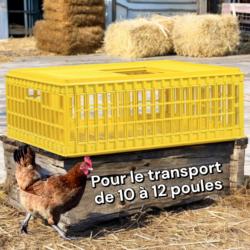 Caisse de transport pour volailles, poules, canards et pigeons