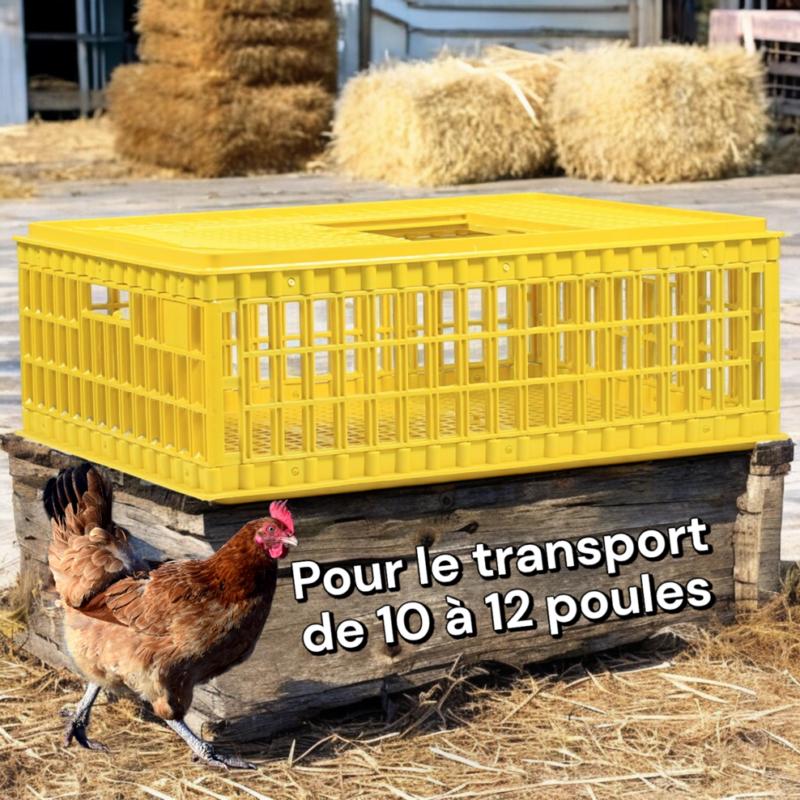 Caisse de transport pour volailles, poules, canards et pigeons