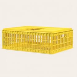 Cage de transport pour volailles, poules, canards et pigeons