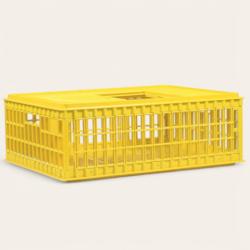 Caisse pour le transport des volailles, poules, canards et pigeons