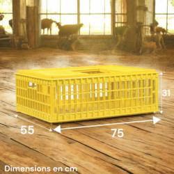 Dimensions caisse pour le transport des volailles, poules, canards et pigeons