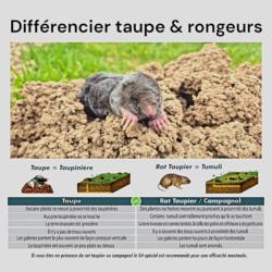 Savoir différencier taupe & rats taupiers