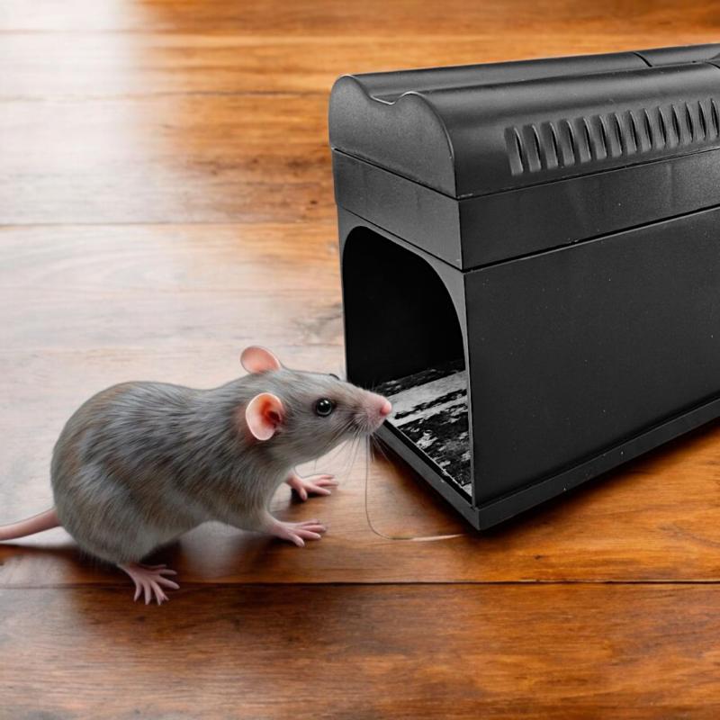 Piège à Rat Électrique 7000V Haute Efficacité – Réutilisable Intérieur/Extérieur