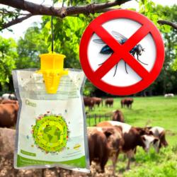 Sac à mouches suspendu à une branche d'arbre dans une prairie avec des vaches