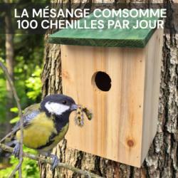 Nichoir à mésanges