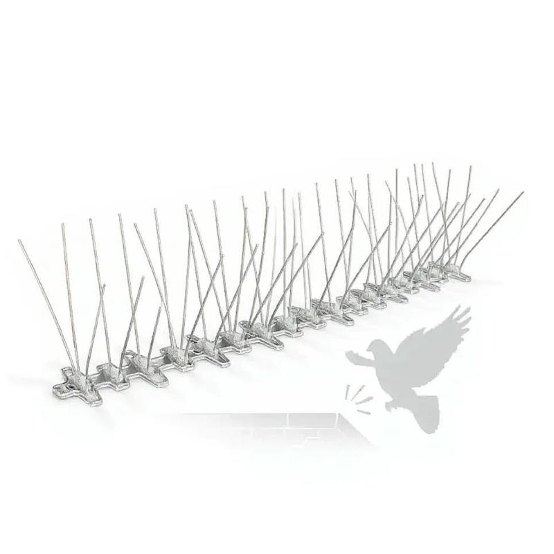 Pics anti pigeon