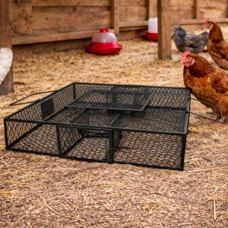 Cage piège à rats multi-capture professionnelle (55×55×10,5 cm)