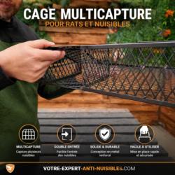 Cage à rat multi-capture double entrées