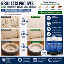 résultat traitement puces maison avant après élimination rapide fumigène anti puces