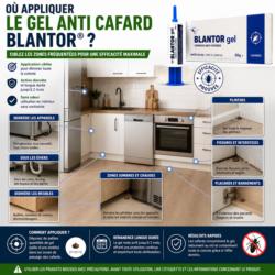 ou appliquer gel anti cafard blantor zones infestation cuisine plinthes fissures meubles