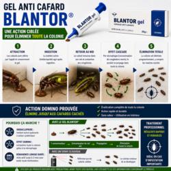 effet domino gel anti cafard blantor fonctionnement élimination colonie blattes cafards imidaclopride